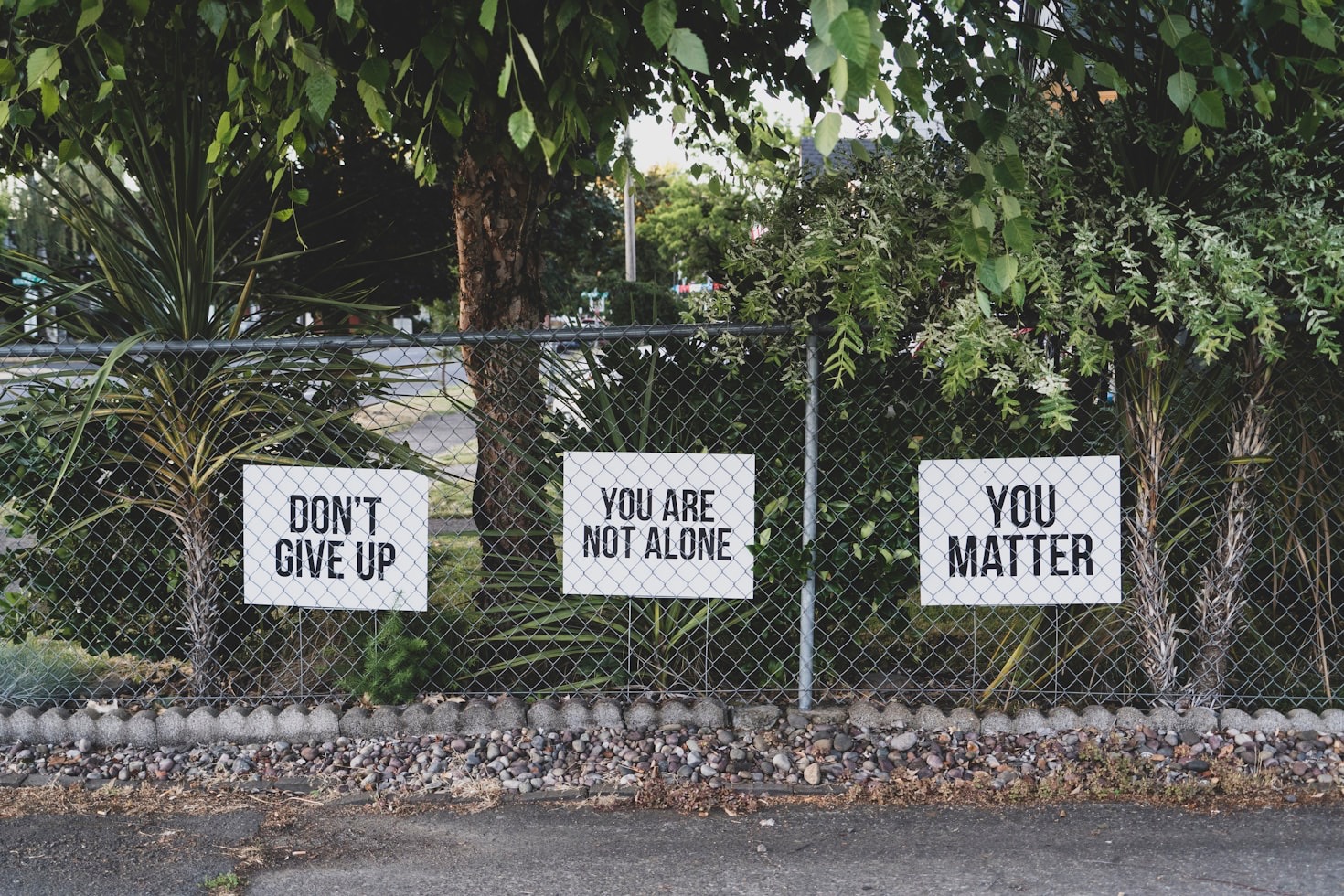 A6Society’s Mission to Foster Inclusivity and Growth